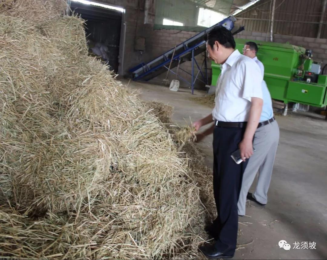 發展特色產業，助力扶貧與鄉村振興